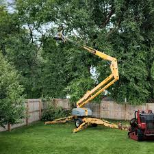 Best Tree Preservation Services  in Archbold, OH