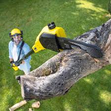 Best Lawn Watering Services  in Archbold, OH