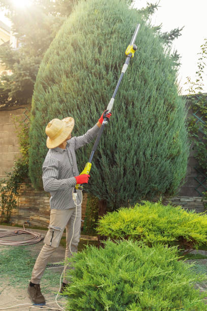 Artificial Turf Installation in Archbold, OH